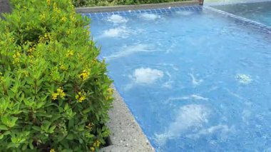 Sıcak tropikal bir tatil köyünde yeşil yüzme tatili olan havuzda güzel jakuziler yok. Yüksek kalite 4k görüntü