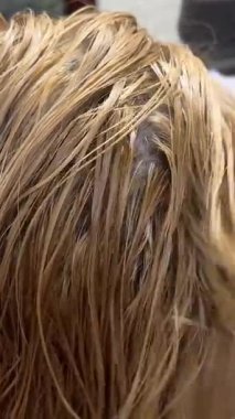 Sarışın kadın saçını kuaförde kurutuyor kısa saç kesimi ıslak saç kurutma makinesi gri saç kurutma makinesi. Yüksek kalite 4k görüntü