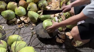 Geleneksel bir bıçakla hindistan cevizi kesme. Bir adam taze hindistan cevizi kesmek için özel bir hindistan cevizi bıçağı kullanıyor. Ayrıntılı işlem: bıçaklama ve ayırma 