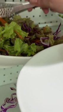 Salatalık, domates salatası tabağına farklı sebzeler koyun. Yüksek kalite 4k görüntü