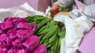 Kadın eli pijamalı, cam bir masanın üzerinde geniş bir demet mor lale açıyor. Makasla kesilmiş kağıt, 50 tane 100 tane lale. Yüksek kalite 4k görüntü