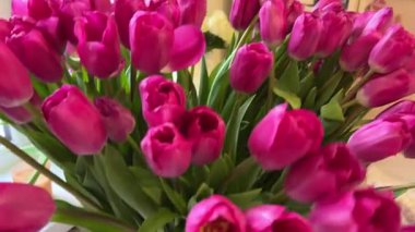 Makroda narin pembe laleler, yumuşak yapraklar ve bahar çiçekleri. Kız, pencere arkasında büyük miktarda kırmızı laleleri vazoda sergiliyor.