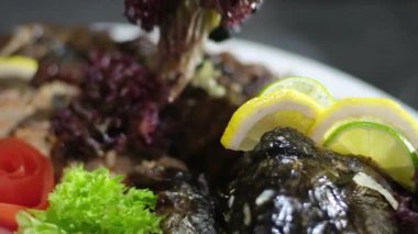 Doldurulmuş balık dolması, domatesli salatalık ve otlu restoran tabağıyla servis edilir. Yüksek kalite 4k görüntü