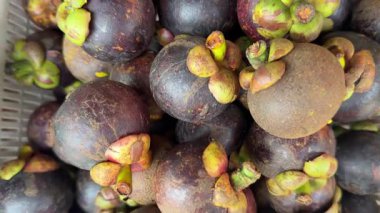 Mangosteen tropikal meyve Asya vitrininde bir sürü sulu mangosen genç egzotik ve lezzetli taze meyveler sergilenir. Yüksek kalite 4k görüntü