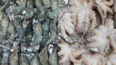 Ahtapot karides pazarında buzlu taze deniz mahsulü karidesleri. Taze deniz ürünleri pazarı. Yüksek kalite 4k görüntü