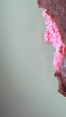 Bir parça çikolatalı pasta, üzerinde kiraz ve kremalı pasta. Yüksek kalite 4k görüntü