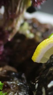 Doldurulmuş balık dolması, domatesli salatalık ve otlu restoran tabağıyla servis edilir. Yüksek kalite 4k görüntü