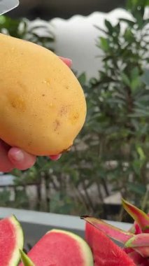 Lezzetli tropikal meyveler, sağlıklı yiyecek, mango, muz meyve, karpuz portakalları ve arka planda diğer sulu Asya palmiye yaprakları. Yüksek kalite 4k görüntü