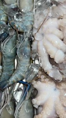 Ahtapot karides pazarında buzlu taze deniz mahsulü karidesleri. Taze deniz ürünleri pazarı. Yüksek kalite 4k görüntü