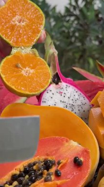 Lezzetli tropikal meyveler, sağlıklı yiyecek, mango, muz meyve, karpuz portakalları ve arka planda diğer sulu Asya palmiye yaprakları. Yüksek kalite 4k görüntü