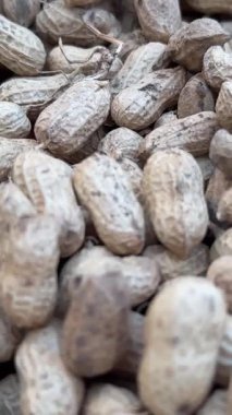 Fıstık. Kabuksuz fındıklar kapanıyor, dönüyor. Bej arka planda kabuklu fıstık rostosu. Organik vejetaryen yemeği. Sağlıklı beslenme konsepti, Ağır çekim. - Evet. Yüksek kalite 4k görüntü