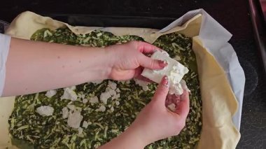 Lezzetli bir ıspanak ve Peynir Pasta Sanatsal Yaradılışı İçin Taze Bir Ispanak Hazırlama Video Adımları. ıspanaklı turta tarifi