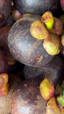 Mangosteen tropikal meyve Asya vitrininde bir sürü sulu mangosen genç egzotik ve lezzetli taze meyveler sergilenir. Yüksek kalite 4k görüntü