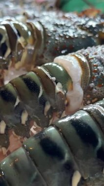 Pazarda yengeç, balık, ıstakoz ve yeşil biberli taze deniz ürünleri sergileniyor. Yüksek kalite 4k görüntü