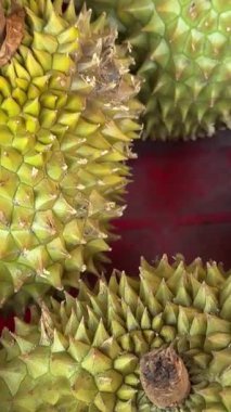 Çok egzotik kokulu meyveler Durian dikenli pek çok kişi marketin vitrininde dikiliyor ve Asya 'da dikenli meyveler satıyor.