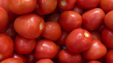 ticari domates üretimi. Olgun kırmızı domates hasadı. Kutudaki taze sebze ürünleri, tarım tarımı. Sebze bahçesinde organik taze hasat, beslenme. Domates taşımacılığı. Yüksek