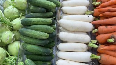 Salatalık turpları havuç doğal sebzeler bir süpermarketin vitrininde duruyor ve sağlıklı bir hayat için arka arkaya sebzeli lahana patlıcan alıyor. Yüksek kalite 4k görüntü