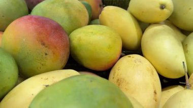 Canlı bir sarı ve yeşil mango yığını, doğal renklerini ve tazeliklerini sergiliyorlar. Bu tür meyveler yerel ürünleri ve sağlıklı, vejetaryen gıda seçeneklerini temsil eder. Yüksek kalite 4k görüntü