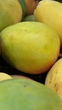 Canlı bir sarı ve yeşil mango yığını, doğal renklerini ve tazeliklerini sergiliyorlar. Bu tür meyveler yerel ürünleri ve sağlıklı, vejetaryen gıda seçeneklerini temsil eder. Yüksek kalite 4k görüntü