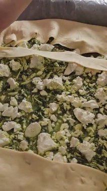Lezzetli bir ıspanak ve Peynir Pasta Sanatsal Yaradılışı İçin Taze Bir Ispanak Hazırlama Video Adımları. ıspanaklı turta tarifi