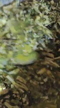 Lezzetli bir ıspanak ve Peynir Pasta Sanatsal Yaradılışı İçin Taze Bir Ispanak Hazırlama Video Adımları. ıspanaklı turta tarifi