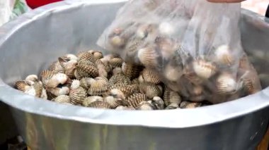 Müşteri plastik torbaya istiridye topluyor. Yüksek kalite 4k görüntü