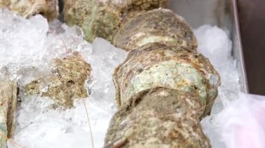 Buzlu taze deniz ürünleri. Yüksek kalite 4k görüntü