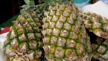 Olgun ananaslar tarlada bol bol yetişir, altın meyveleri yeşil yaprakların arasında yuva yapar ve bakımlı bir tropikal çiftliğin verimliliğini gösterir. 4K video kaydı. Yüksek kalite 4