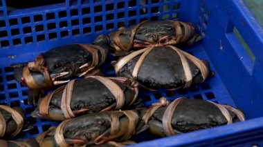Bir balık satıcısının renkli yengeç karışımlarıyla dolu plastik bir sandığı bir karavana yerleştirişinin yakın görüntüsü. Yüksek kalite 4k görüntü