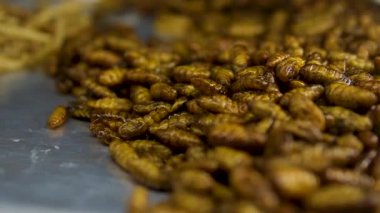 Tahta tabakta kızarmış böcekler. Böcekler yüksek proteinli gıdalardır. Yüksek kalite 4k görüntü