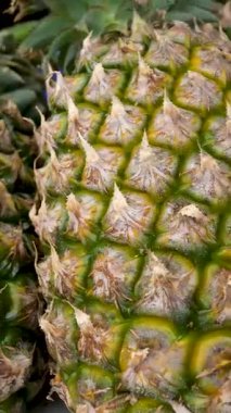 Ananas comosus ananas meyvesinin soldan sağa yayılarak tropikal ve sulu görünümünü sergiliyor. Yüksek kaliteli FullHD görüntüler