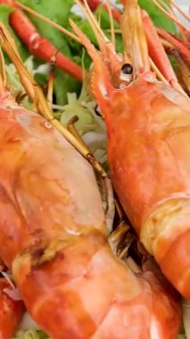 Bitki soslu ızgara karides, kişniş ile süslenmiş, beyaz kasede servis ediliyor. Yüksek kaliteli FullHD görüntüler