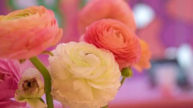 Elektrik santrali. Yumuşak güneş ışığı. Santralin arka planına karşı. Dağlar. Gül tarlası. Gül çiçeği. Bahçe. Yakın plan. Yüksek kalite 4k görüntü