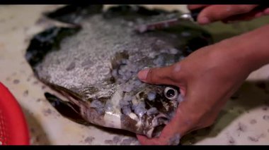 Yaşlı kadınların elleri ahşap bir tahtanın üzerinde balık temizler ve doğrarlar. Yüksek kaliteli FullHD görüntüler