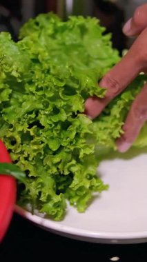 Mutfakta akan suyun altında yeşil ıspanak yapraklarını yıkamak. Sağlıklı beslenme. Yüksek kaliteli FullHD görüntüler