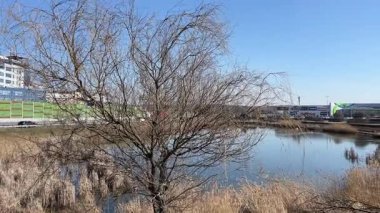 Katowice Hava Manzarası. Katowice 'nin modern şehir merkezi, Yukarı Silezya. KATOWICE, POLAND 03.24.2025