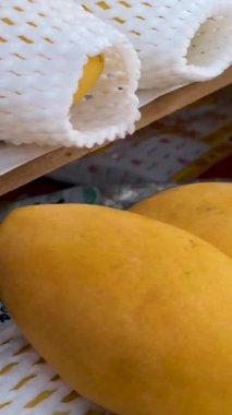 Yeşil yapraklı mango, çimenli olgun mango, Kesik Dilimler. Yüksek kaliteli FullHD görüntüler