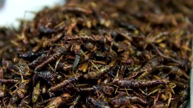 Kızarmış böcekler, çekirgeler, böcekler, hamamböcekleri, akrepler, sulu solucanlar ve larvalardan oluşan geleneksel olmayan yiyecekler Bangkok 'taki sokak gıda pazarında satılıyor. Yüksek kalite 4k görüntü