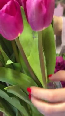 Pembe arka planda bir buket pembe lale çiçeği tutan kız. Anneler Günü kutlaması konsepti. Yüksek kalite 4k görüntü