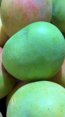 Olgun mango yığını. Taze yeşil mango dokusu. Yeşil mango video geçmişi. Arka plan için mango meyvelerini kapatın. Yüksek kalite 4k görüntü