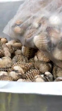 Müşteri plastik torbaya istiridye topluyor. Yüksek kaliteli FullHD görüntüler