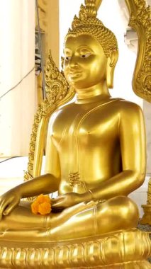 Altın Buda heykeli, Tayland tapınağı, çok ünlü, Tayland şapelinde kutsanmış. Yüksek kaliteli FullHD görüntüler