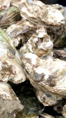 Deniz ürünleri pazarındaki taze istiridyelerle dolu ahşap sandıktaki taze istiridye kabukları tazeliği ve doğal doku mutfağını, deniz ürünlerini ve gurme yemeğini gösteriyor. 