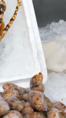 Markette dondurulmuş deniz ürünleri, yakın plan. Karides, karides, midye, istiridye, mürekkep balığı, ahtapot. Yüksek kaliteli FullHD görüntüler