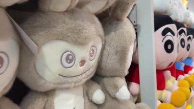 Luwes Swalayan Kartasura, Sukoharjo, Endonezya 'da sergilenen peluş hayvan oyuncakları ayılar, kurbağalar ve pembe çizgi film karakterlerinin de yer aldığı renkli oyuncak bebekler içeriyor. Vietnam Danang 08.11.2025