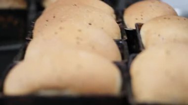 Baker taze pişmiş ekmeği sıcak fırından çıkarıyor. Fırından çıkan sıcak ekmeği soğutmak için pişirin.