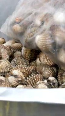 Müşteri plastik torbaya istiridye topluyor. Yüksek kalite 4k görüntü