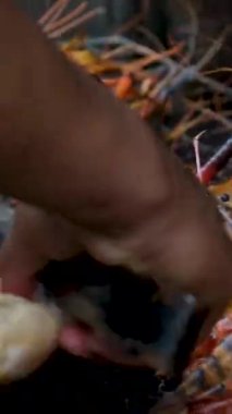 Fırında karides ızgara. Yüksek kalite 4k görüntü