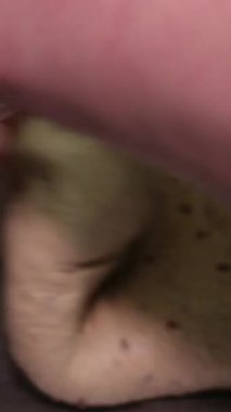 Ekmek yapan kadınların elleri hamuru karıştırıyor ve adım adım ekmek yazıyor unla mayayı karıştırıyor. Yüksek kalite 4k görüntü