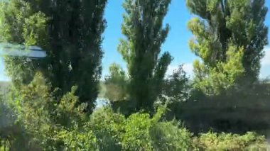 Tren yolculuğu, gün batımı, penceredeki yansıma. Geçen bir trenin penceresinden bak. Demiryolu boyunca ağaçlar ve çalılar. Trenden ağaçlara giden yol manzarası